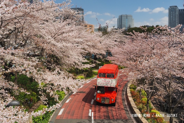 ※昨年の実績になります。