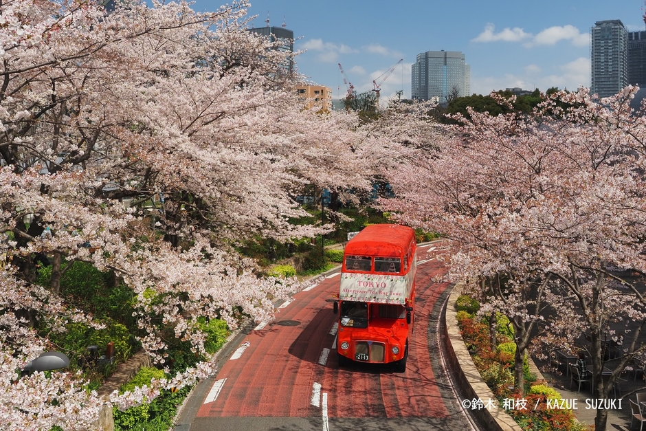 ※昨年の実績になります。