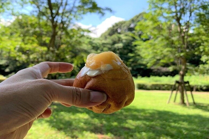 青山公園でピクニック