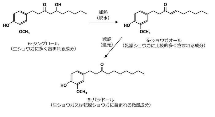 発酵ジンジャーエキスパウダーS