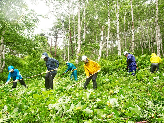 森林整備 4