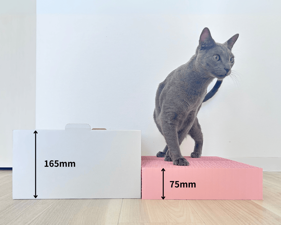 製品画像_サイズ(2)