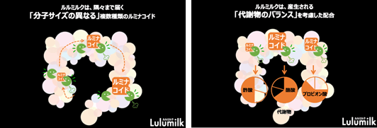 ルミナコイドの働き