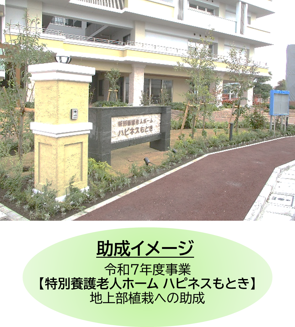 緑化工事や花壇づくり活動を支援!
東京都都市緑化基金の令和8年度助成事業募集について
お知らせします。【申請締切:7/31(金)】