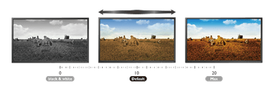 CV