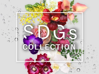 【SDGs】アートフラワーのSDGs(持続可能な開発目標）コレクションを絶賛販売しています。