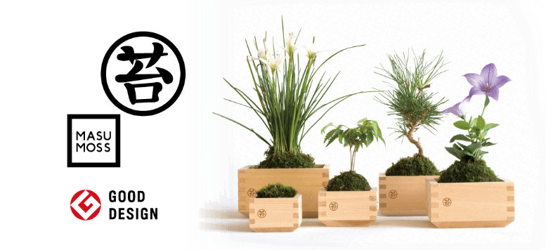 「MASUMOSS」を展開するグリーンズグリーンのショールームも兼ねる