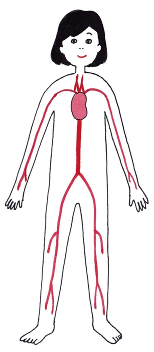 〈血圧〉イメージ