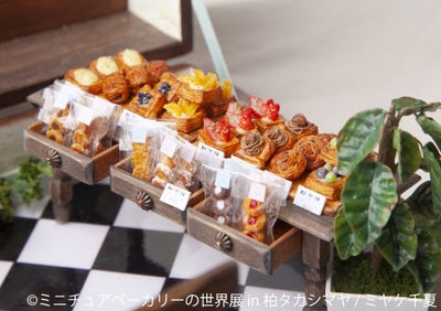展示作品9