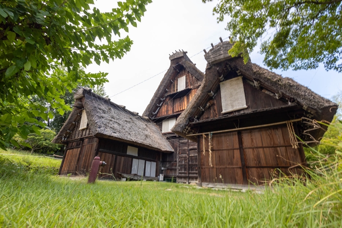 飛騨白川の合掌造り民家(外観)(イメージ)