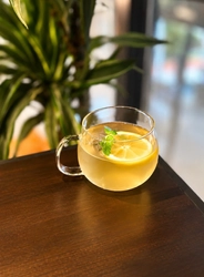 猛暑の大阪で、涼と塩分を一杯に！ 北区のペット同伴カフェが「ソルティーレモンジュース」を無料配布
