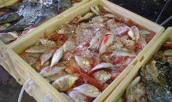 のど黒水揚げ