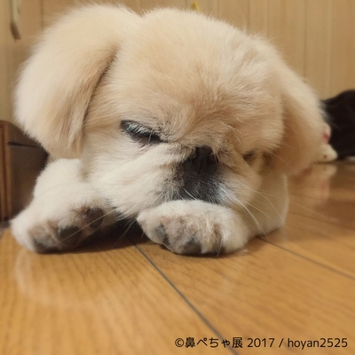 イメージ9