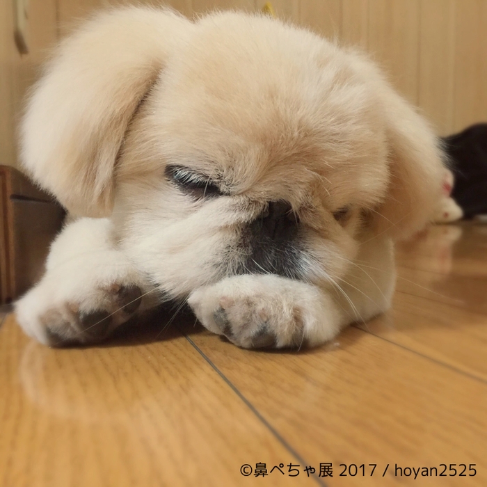 イメージ9