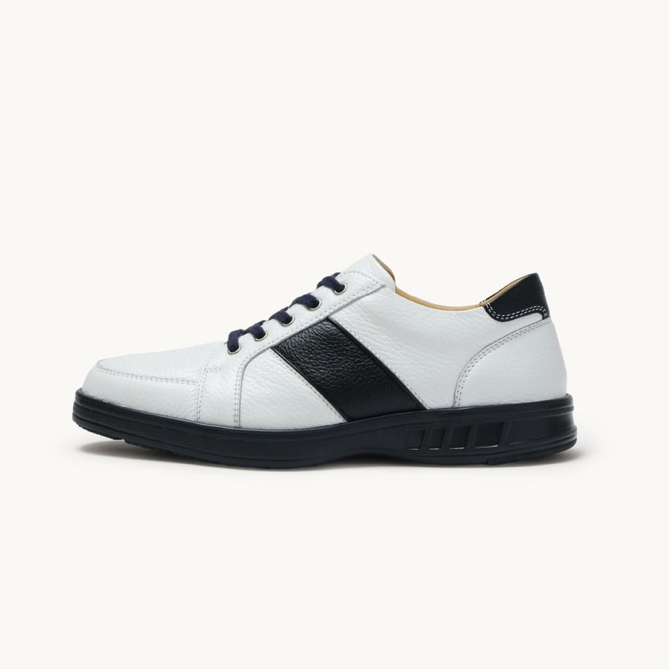 サンプルホワイト