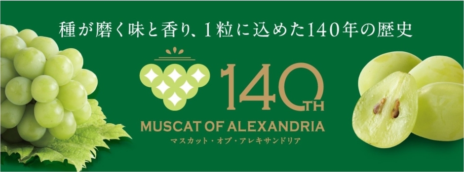 マスカット・オブ・アレキサンドリア140周年