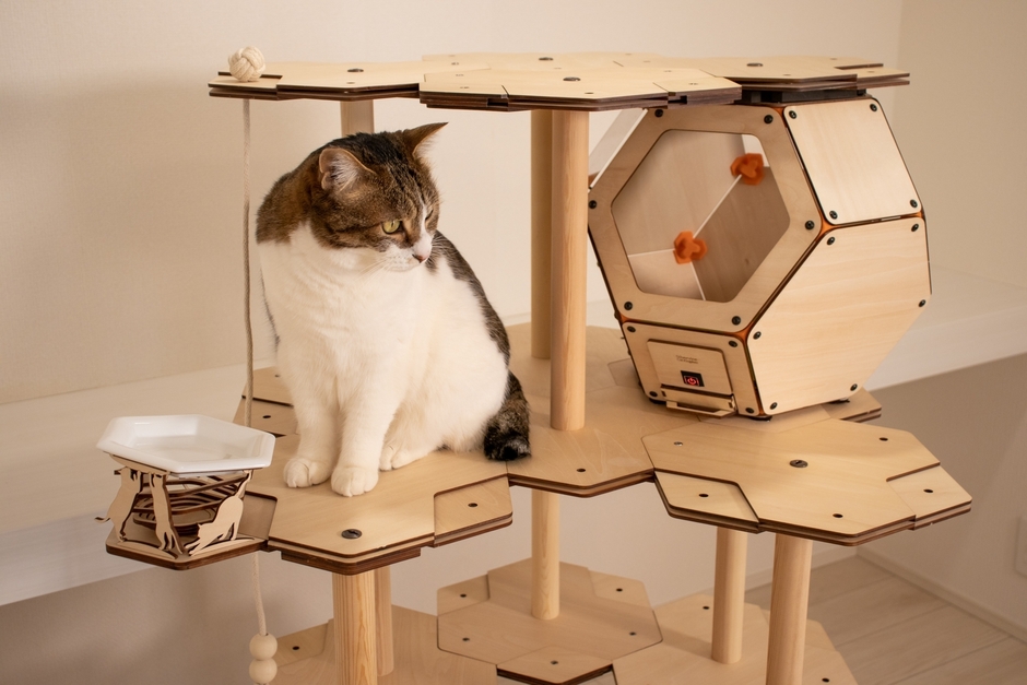 キャットタワーの上に暖かな居場所を
