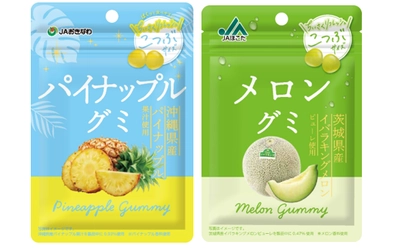 ちいさくリフレッシュ！ 『JAおきなわ　パイナップルグミ』『JAほこた　メロングミ』 3月2日から期間限定で発売