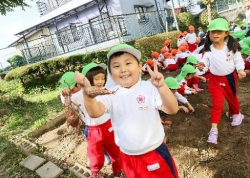 収穫の様子(昨年度)