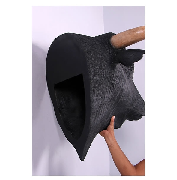 黒毛牛の頭部・壁掛け／Spanish Fighting Bull Head(5)