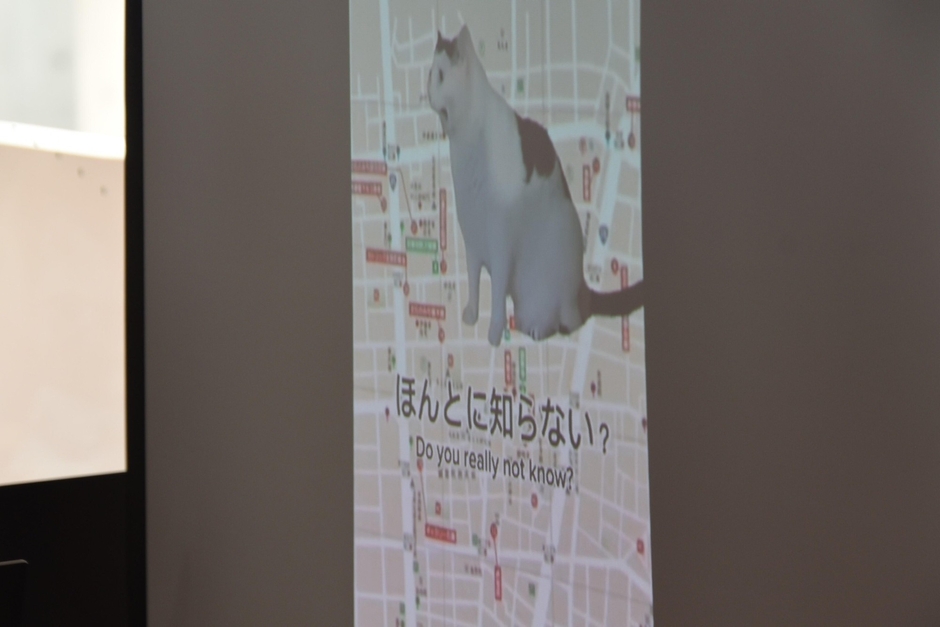 「猫ミーム」を使った動画