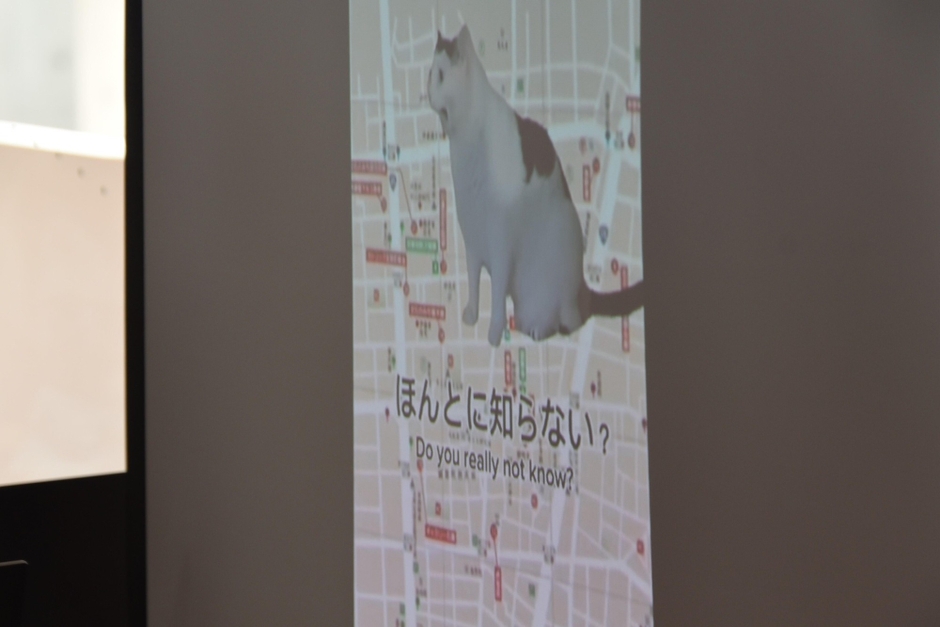 「猫ミーム」を使った動画