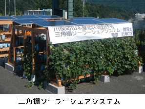 三角棚ソーラーシェアシステム