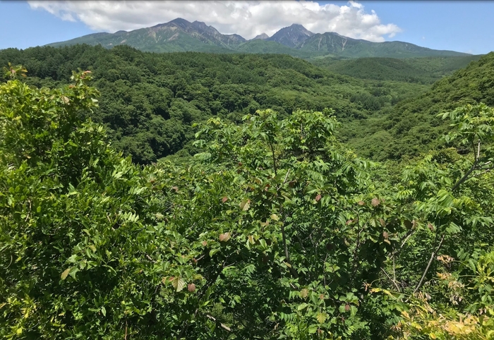 八ヶ岳の見える自然豊かな北杜市