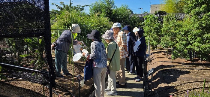 近大薬学部薬用植物園が「夕暮れに植物園散歩 2026」を開催 夕方に特別開園し、園内の植物を紹介する案内ツアーを実施