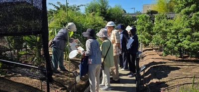 近大薬学部薬用植物園が「夕暮れに植物園散歩　2026」を開催　夕方に特別開園し、園内の植物を紹介する案内ツアーを実施