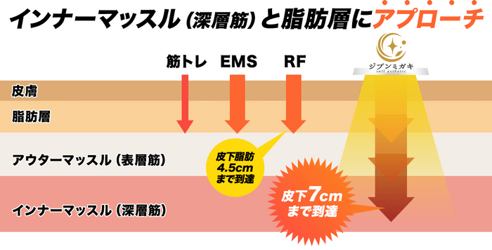 インナーマッスルと脂肪層に効果