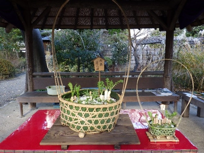 ジャンボ七草籠の展示(R4年度)