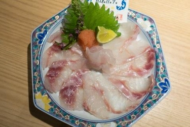 高級魚「クエ」と「タマカイ」の良さを併せ持つハイブリッド　「クエタマ」を直営店にて数量限定で初提供