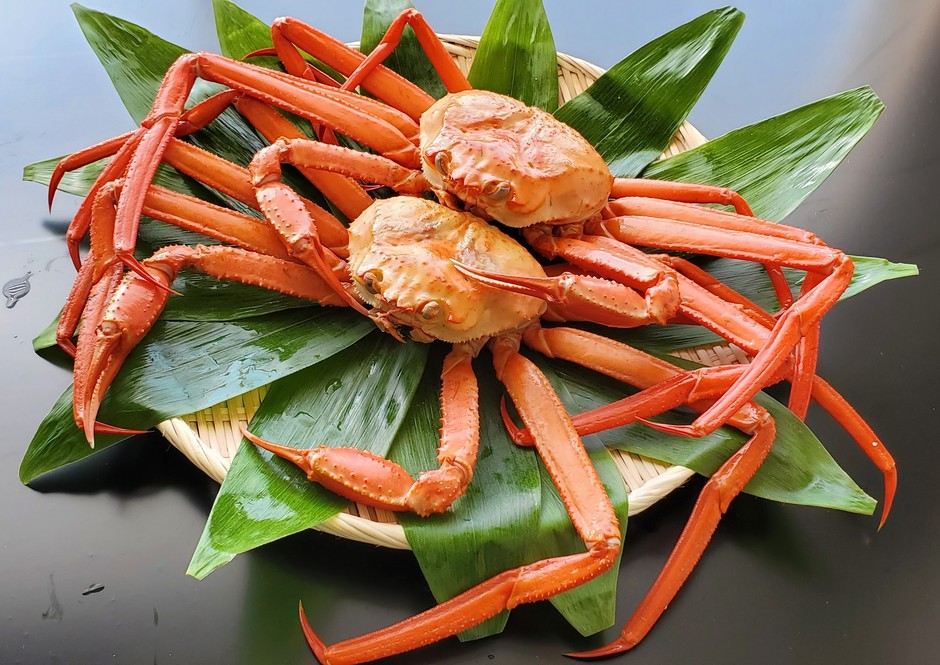 数量限定！大きな個体の魚津産紅ズワイガニを用意