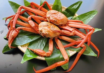 数量限定！大きな個体の魚津産紅ズワイガニを用意