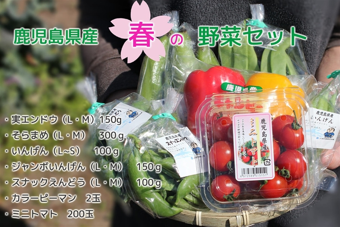 鹿児島県産“春の野菜セット”