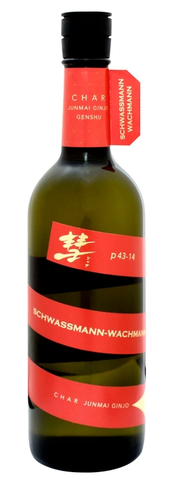 彗 SCHWASSMANN-WACHMANN