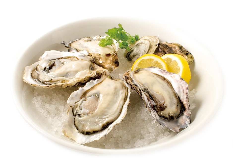 真牡蠣イメージ