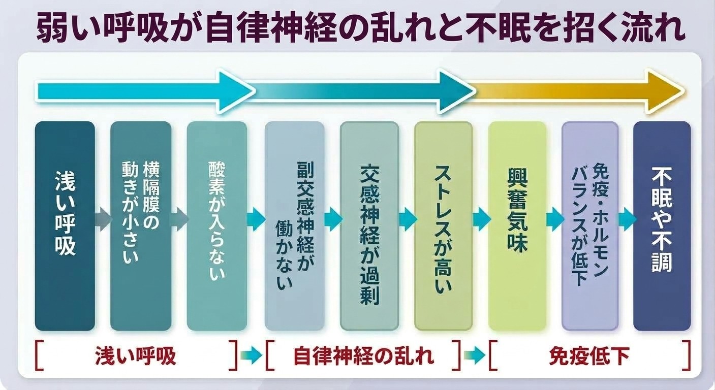 眠れないのは、呼吸が弱くなるのため（自覚できない）──睡眠中は重力が90度変わり、呼吸が弱くなる。結果、心拍と血圧をあげ、自律神経を乱して、健康リスクを高める