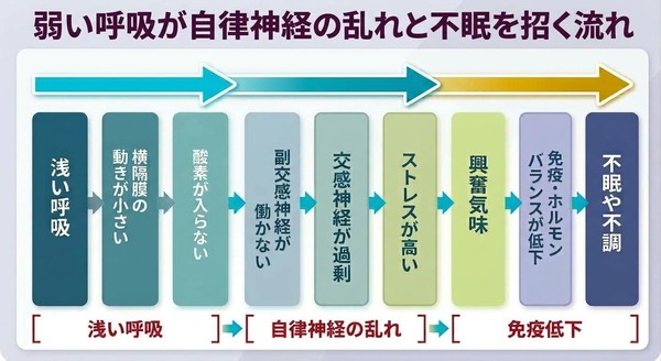 眠れないのは、呼吸が弱くなるのため(自覚できない)──睡眠中は重力が90度変わり、呼吸が弱くなる。結果、心拍と血圧をあげ、自律神経を乱して、健康リスクを高める