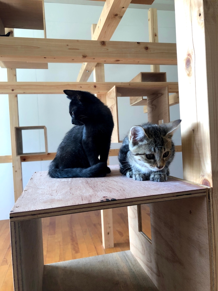 ティアハイム小学校教室内2