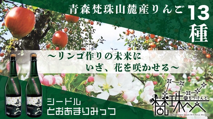 リンゴ農家と産地を守る！ 食べるだけじゃない新しい楽しみ方を提案　 “幻のリンゴ”を含む13品種を使ったシードルやジュースを クラウドファンディングで先行販売