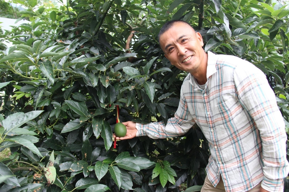 アボカド生産者　濵田氏