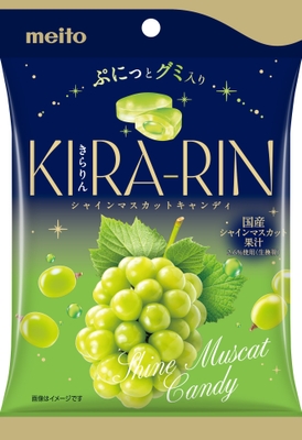 国産シャインマスカット果汁2.6%使用(生換算)