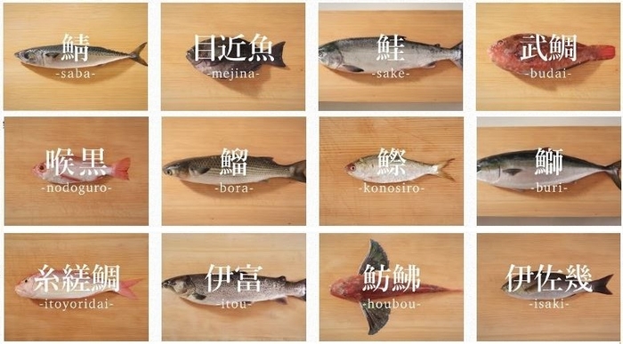 ▲海外からも注目を集める「魚のさばき方」に特化したYouTube動画チャンネル