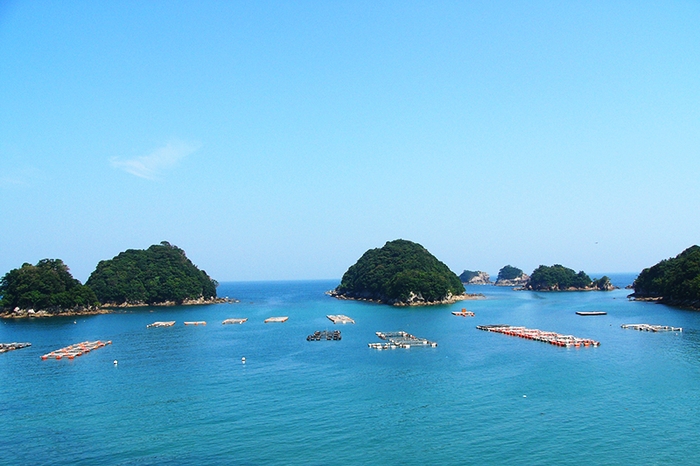 国定公園に指定されている美しい海でマリンアクティビティを楽しむ