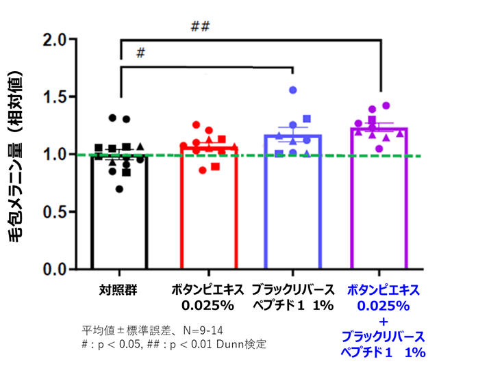 図１．毛包におけるメラニン量への影響