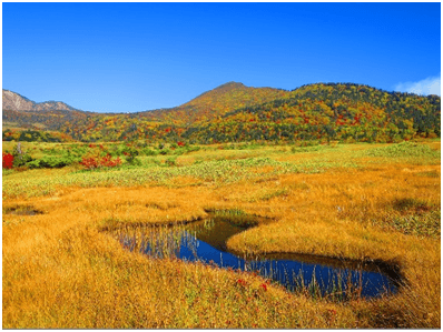 オレンジ色に染まる弥陀ヶ原高原
