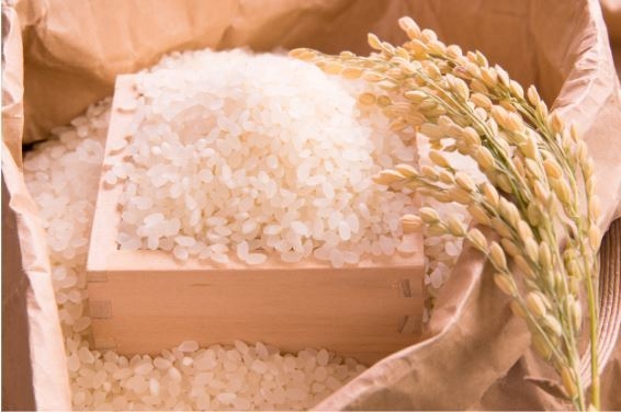 多古米イメージ