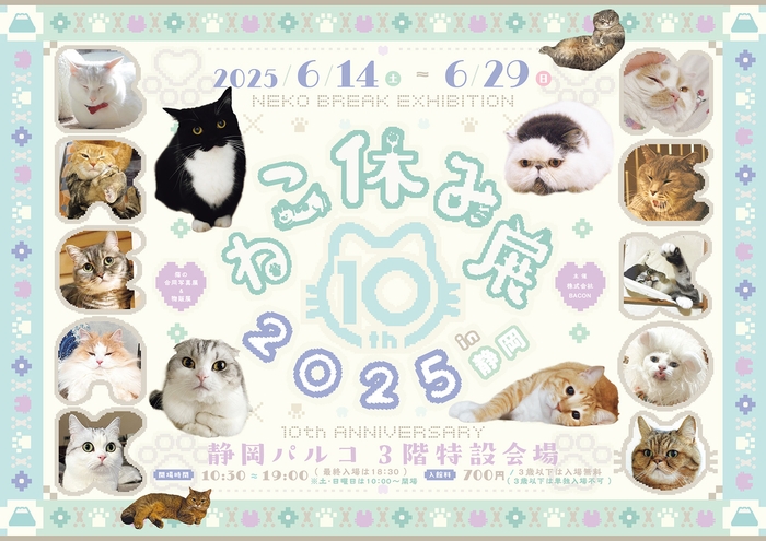ねこ休み展 キービジュアル